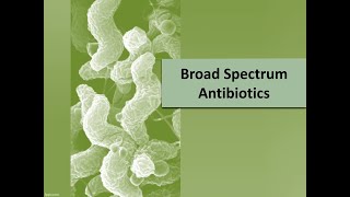 11 Broad spectrum antibiotics [upl. by Lelia]