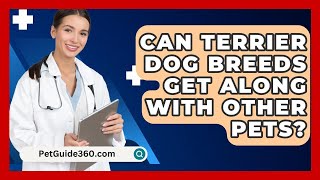 Can Terrier Dog Breeds Get Along with Other Pets  PetGuide360com [upl. by Nauh]