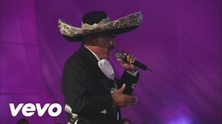 Vicente Fernández  El Rey En Vivo [upl. by Nele]