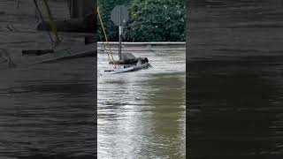 French Broad River becomes a lake covering amp closing all roads in Hendo NC Helene’s wrath [upl. by Oralla]