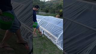 KOLAM IKAN UNIK shorts viralvideos reaction fyp [upl. by Soilissav]