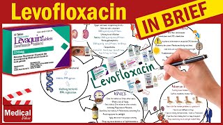 Levofloxacin  Levaquin  What is Levofloxacin Used For Dosage Side Effects amp Precautions [upl. by Gaye]