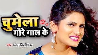 चुमेला गोर गाल के VIDEO  Antra Singh Priyanka  Chumela Gore Gaal Ke  Bhojpuri Hit Song [upl. by Ahsier]