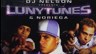 😸 DJ NELSON  MAS FLOW Luny Tunes amp Noriega [upl. by Arluene]