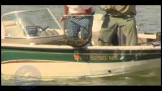 Big Smallmouth Bass at the Dam quotAnglers Xperience Episode 30quot [upl. by Lorien759]