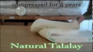 Talalay Latex Mattress vs Dunlop Latex Mattress [upl. by Sidras696]