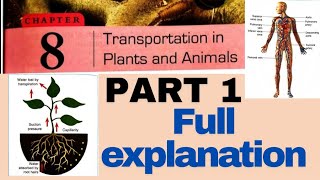 CHAPTER 8 TRANSPORTATION IN PLANTS ☘️ AND ANIMALS 🐍  CLASS 07 DAV SCIENCE  PART 1 FULL EXPLANATION [upl. by Holds696]