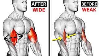 BEST Biceps Routine Transform Your Bicep Today [upl. by Shaper400]