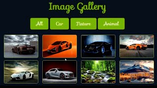 Portfolio Filterable Image Gallery With HTML CSS amp JavaScript  Filterable Gallery [upl. by Eiger]