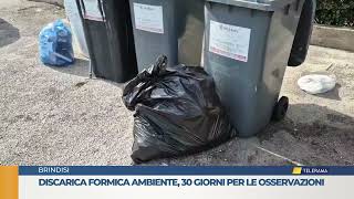 Discarica formica ambiente 30 giorni per le osservazioni [upl. by Sonja543]