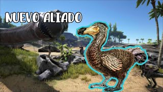 PROBANDO COSAS  ARK Survival Evolved  2 [upl. by Acemat]