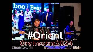 Hora tiganeasca la Braila originala acordeon vioara clarinetLiviu si Orient Orchestra live 2024 [upl. by Tj]