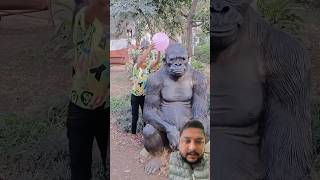 Balloons challenge with gorilla elephant animals zoo funny balloon shorts trendingshorts [upl. by Aisemaj]