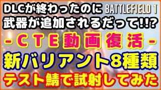 【BF1】武器が追加になるので試し撃ちしてみた By テスト鯖 quotPlay Log 206quot【新武器】 [upl. by Tilford]