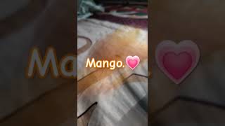 I luv MANGO3 [upl. by Rihana587]