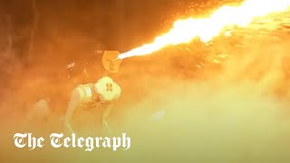 Flamethrowing robot dog goes on sale in US [upl. by Edris]