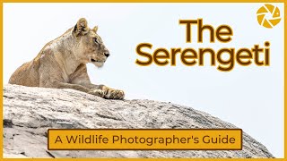 Serengeti  A Wildlife Photographers Guide [upl. by Bouldon]