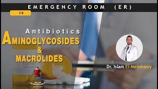 Macrolides and Aminoglycosides  Antibiotics [upl. by Adrell111]