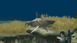 Helicoprion Mod Showcase [upl. by Nya]