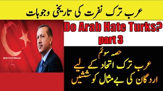 History Of Arab Nationalism  Do Arabs Hate Turks  Part 3 [upl. by Nahsaj427]