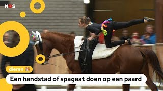 Dit is voltige turnen op de rug van een paard [upl. by Nonarb]