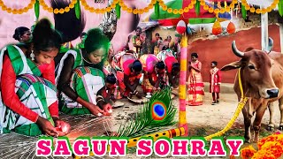 Sagun sohray  Sohray video  santali video  SAGUN SOHRAY New Santali Sohray Song [upl. by Ahsienal]