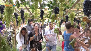 Festa da Vindima e Juventude com Tourada a Corda no Madeira Park  Sept2824  4 [upl. by Aillicirp]