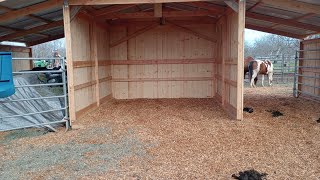 Building a DIY Horse Barn for 2000  Finished Barn Walk Through Starts at 429 [upl. by Stoops406]