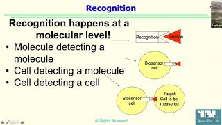 Surface Functionalization  NanoBio [upl. by Keverian765]