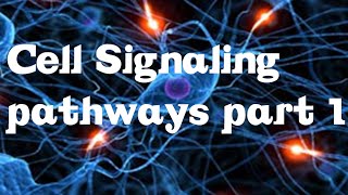 Cell Signaling Pathways part 1 [upl. by Trici]