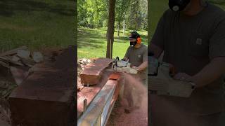 Sawing Eastern Red Cedar with my Logosol F2 logosol chainsawmill oddlysatisfying [upl. by Tecil]