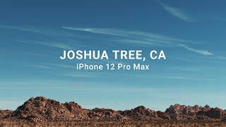 iPhone 12 Pro Max  Cinematic 4k  SANDMARC Anamorphic 155x  Joshua Tree CA [upl. by Eudocia]