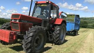 CASE IH 956XL TURBO AND TAARUP 106 FORAGER CASE IH 895XL DUO AND TRAILERS PART 2 OF 3 [upl. by Ule]