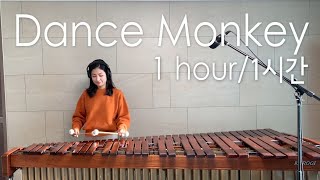 1hour1시간마림바Dance Monkey  Tones and I  Marimba cover [upl. by Buchbinder]