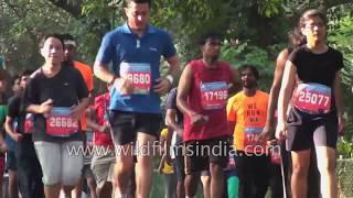 Bangalore runs TCS World 10K Bengaluru Marathon [upl. by Durgy]