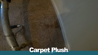 👍 Get that spot Carpet Cleaning ASMR [upl. by Neenaj]