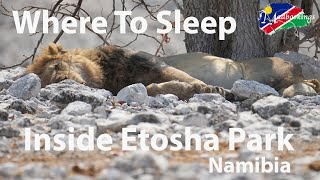 The only 6 Places to stay inside Etosha National Park Namibia [upl. by Naoj]