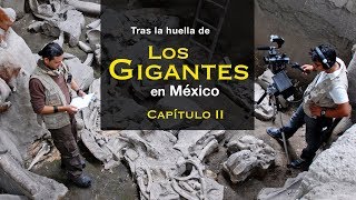 Siguiendo las huellas de MAMUT en México Capítulo II [upl. by Drofliw596]