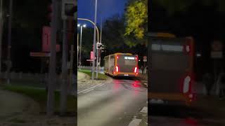 Busse in Moers Königlicher Hof bahn [upl. by Rosner]