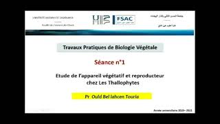 ⛔TP DE BIOLOGIE VEGETALE thallophytes⛔ [upl. by Cornish]