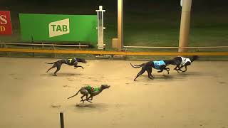 Rockhampton07082024Race1 [upl. by Page757]