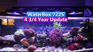 Waterbox 7225 Peninsula  4 34 Year Update  Saltwater Aquarium Tank Tour [upl. by Attiuqahs881]