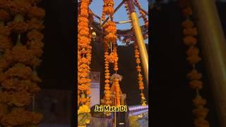 vaishnodevi vaishnodeviyatra2024 navratri navratrispecial explore [upl. by Anitsihc]