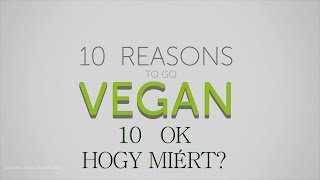 10 OK HOGY MIÉRT LEGYÉL VEGÁN [upl. by Anwad]