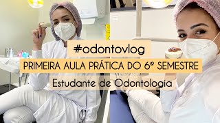 ROTINA DE UMA ESTUDANTE DE ODONTOLOGIA  PRIMEIRA AULA PRÁTICA DO 6º SEMESTRE  ODONTOVLOG [upl. by Lolly]