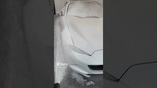 El uso del prelavado detalladoautomotriz autodetailing detailing limpiezaprofunda asmr clean [upl. by Hahn]