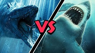 Mosasaurus VS Megalodon – Who Would Win [upl. by Oiciruam]