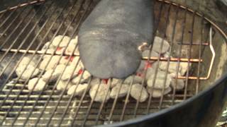 How to Grill Beaver Tail by BBQ Dragon [upl. by Ahsyen]