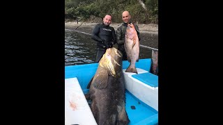 PESCA SUBMARINA EN COSTA RICA 2020 [upl. by Nosloc351]