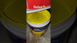 Dulux SuperClean 7653Jolly Holly paints dulux viralvideo viralreels colours colourcombination [upl. by Antin827]